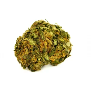 Buy CBD Mango Haze strain online