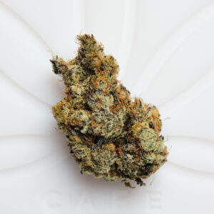 Buy Cactus Breath strain online