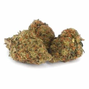 Buy Candyland strain online
