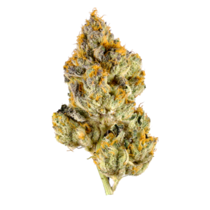 Buy Flan strain online