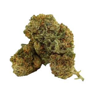 Buy Khalifa Kush strain online