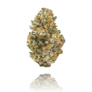 Buy Kiwi Sherbet strain online