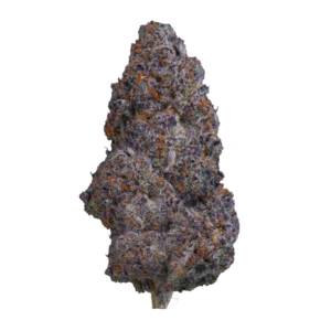 Buy LCG (Lemon Cherry Gelato) strain online