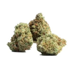 Buy Sugar Cone strain online