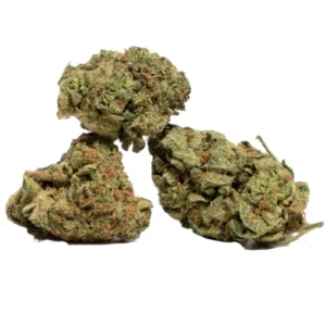 Buy Swiss Tsunami strain online