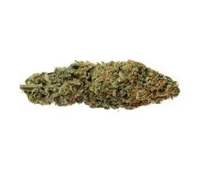 Buy Thai Stick strain online