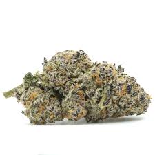 Buy Truffle Butter strain online