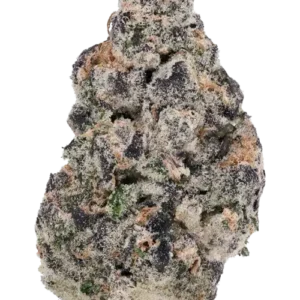 Buy Tsunami Power strain online