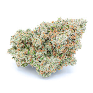 Buy White Fire OG strain online