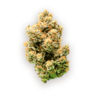 Buy Wifi OG strain online