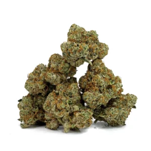 Buy Zookies strain online